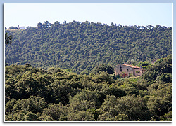 Sant Feliu de Buixalleu